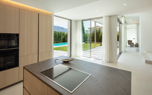 Splendid villa with views to La Concha mountain