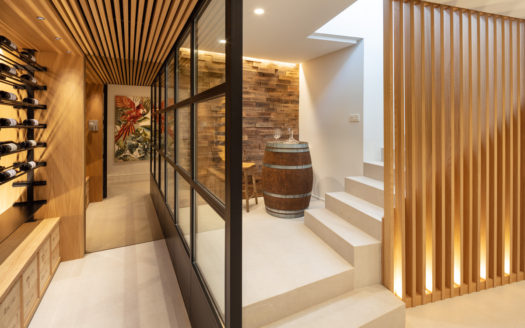 Splendid villa with views to La Concha mountain