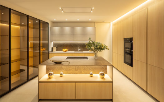 Splendid villa with views to La Concha mountain