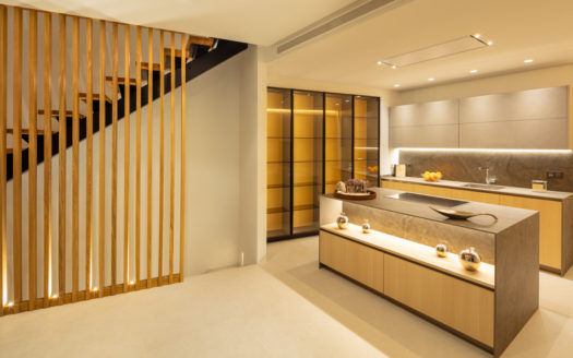 Splendid villa with views to La Concha mountain