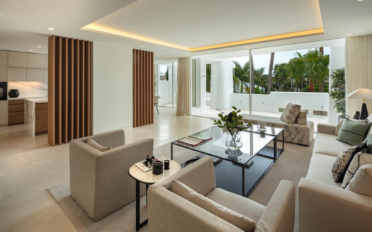 DUPLEX IN PUENTE ROMANO